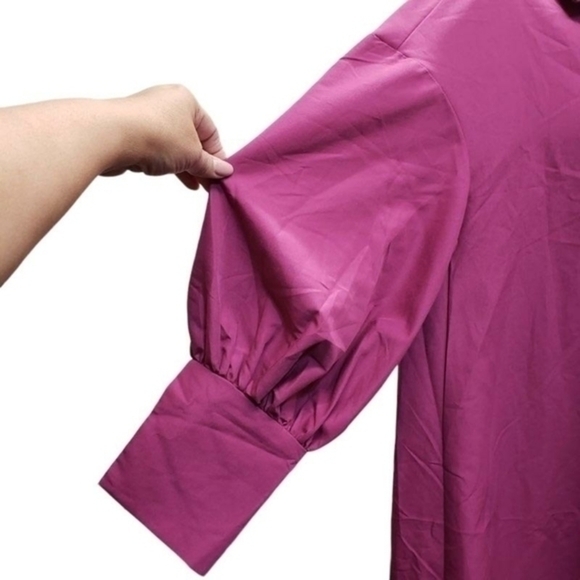 Shein Lantern Sleeve Asymmetrical Ruffle Hem Half Button Placket Dress - Picture 11 of 14